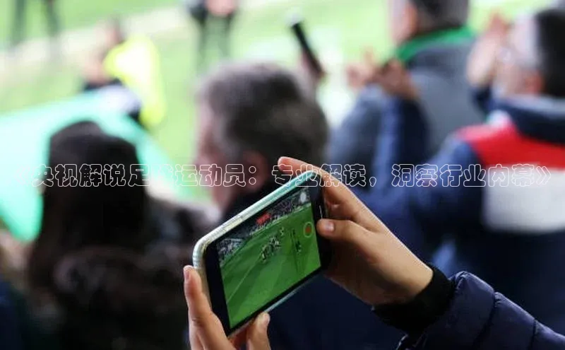 JN江南·体育官网入口百度集团《央视解说足球运动员：专业解读，洞察行业内幕》