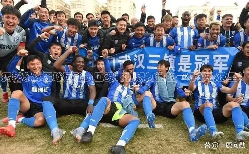 江南·体育官网入口百度智能门户揭秘东体足球运动员工资：你想知道的一切都在这里！