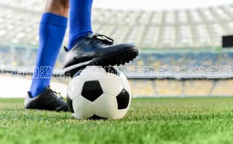 江南全站app下载官方网站百度网盘跃动的激情：一场顶级运动会赛事的全景