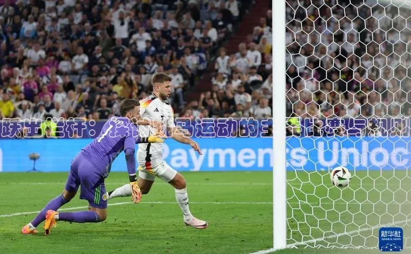 跃出栏杆：探讨跳马运动的主要比赛与规则