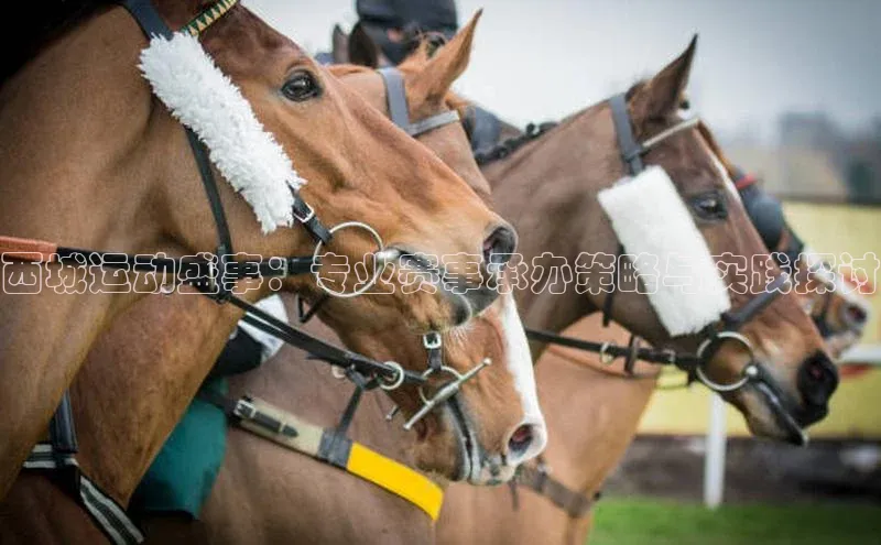 西城运动盛事：专业赛事承办策略与实践探讨