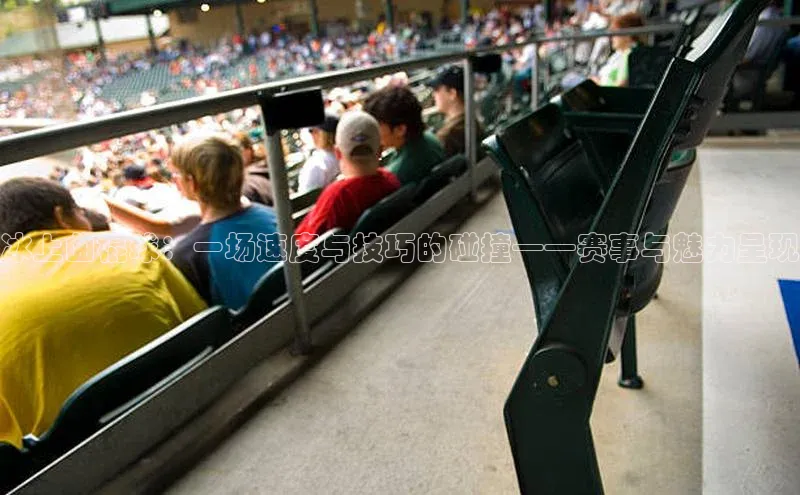 冰上曲棍球：一场速度与技巧的碰撞——赛事与魅力呈现