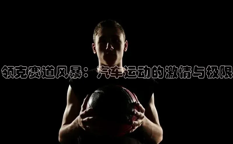 领克赛道风暴：汽车运动的激情与极限