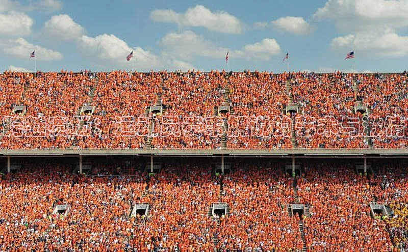 跨越赛场：运动员赛事解说的艺术与激情