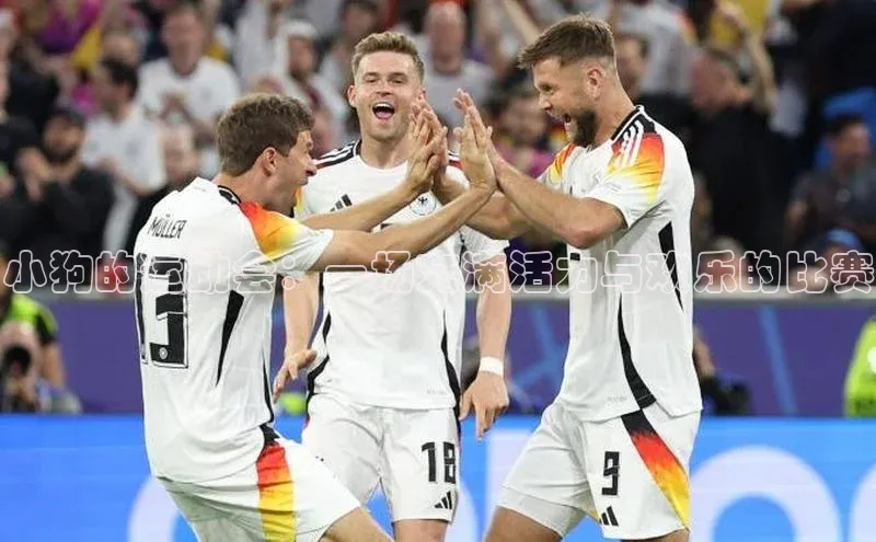 小狗的运动会：一场充满活力与欢乐的比赛