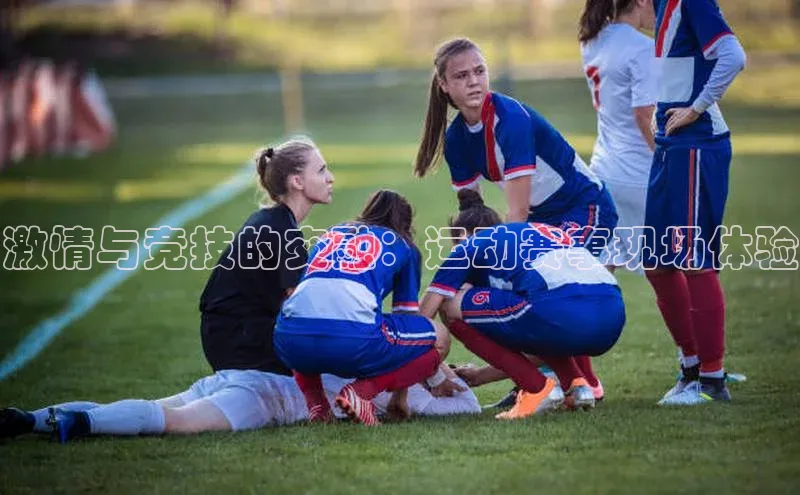 激情与竞技的交融：运动赛事现场体验