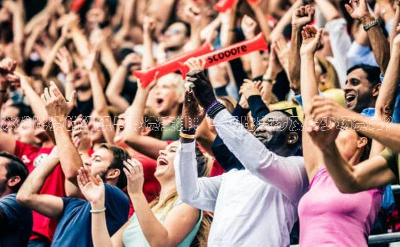 冰球比赛的组织与竞赛安排：一场比赛涉及多少场赛事？