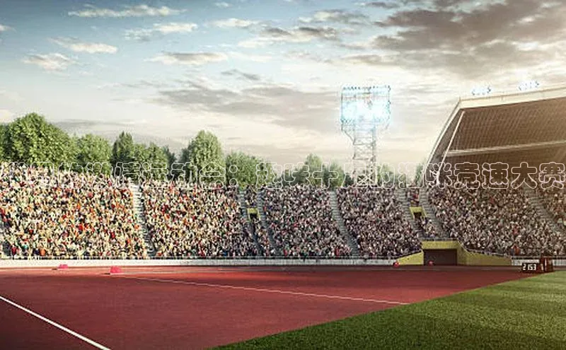 猫界的激情运动会：趣味十足的猫咪竞速大赛