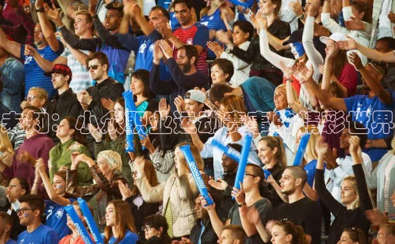 未知：小众职业运动赛事的精彩世界