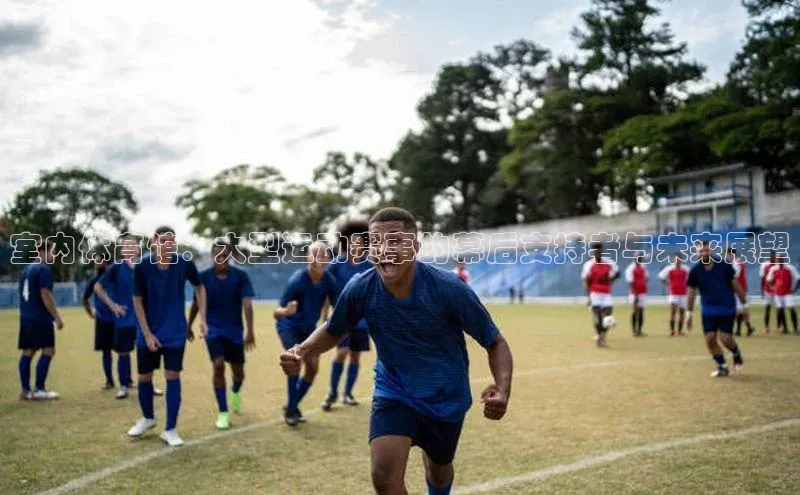 室内体育馆：大型运动赛事的幕后支持者与未来展望