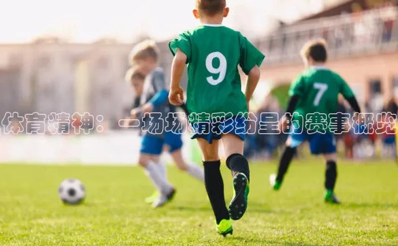 江南·体育官网入口