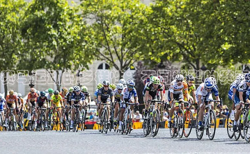 jn体育官网入口