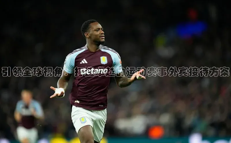 引领全球视角：打造卓越的运动赛事外宾接待方案